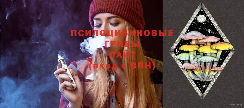 Галлюциногенные грибы MAGIC MUSHROOMS  Владикавказ 